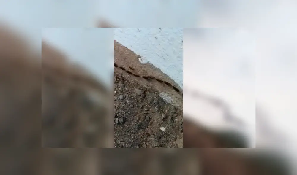 Desliza para ver los detalles del video viral de YouTube. Foto: Captura. Desliza para ver los detalles del video viral de YouTube. Foto: Captura.