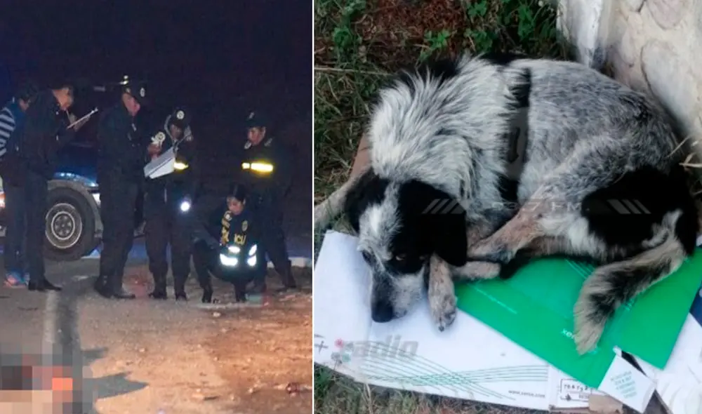 Accidente se registró el último sábado. Foto: referencial/ Radio Uno