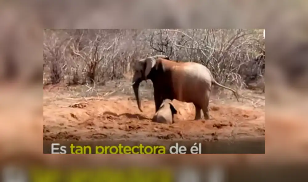 Desliza hacia la izquierda para ver las imágenes del viral de YouTube. Desliza hacia la izquierda para ver las imágenes del viral de YouTube.