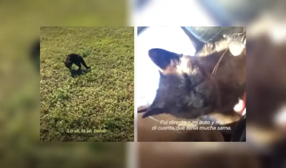 Desliza hacia la izquierda para ver más del video viral. Fotocaptura: YouTube Desliza hacia la izquierda para ver más del video viral. Fotocaptura: YouTube