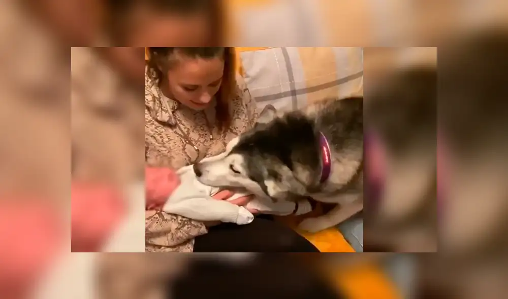 Desliza a la izquierda para ver el gesto que conmovió a los usuarios de Facebook. Foto: Captura. Desliza a la izquierda para ver el gesto que conmovió a los usuarios de Facebook. Foto: Captura.