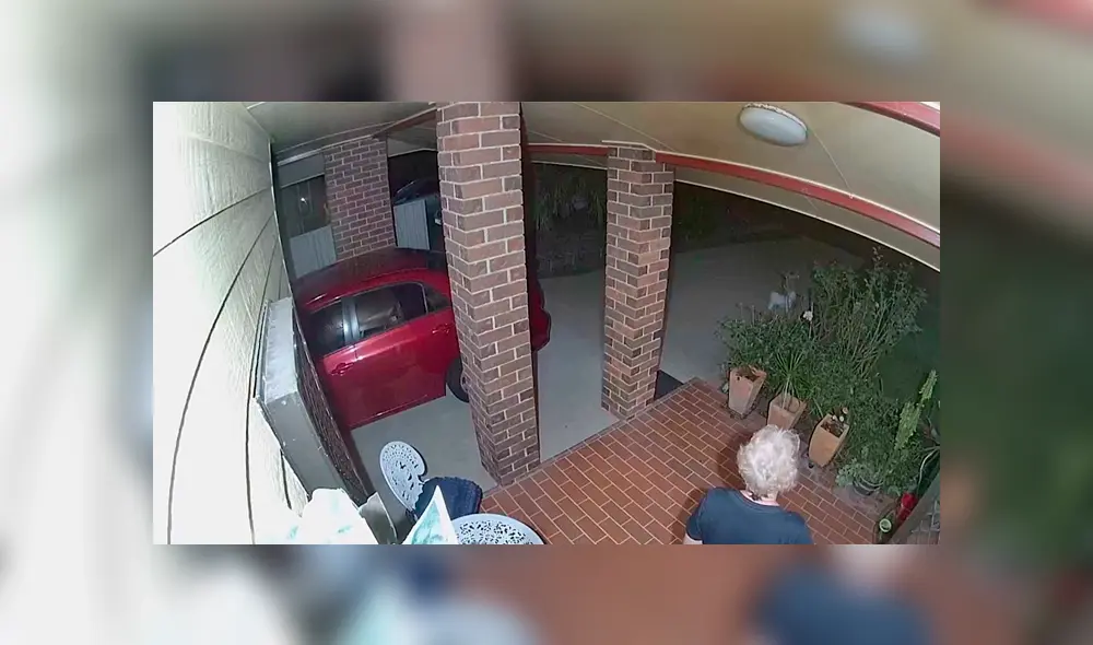 Desliza las imágenes para observar la acción de un perro tras percatarse que unos malhechores intentaron invadir su casa. Desliza las imágenes para observar la acción de un perro tras percatarse que unos malhechores intentaron invadir su casa.