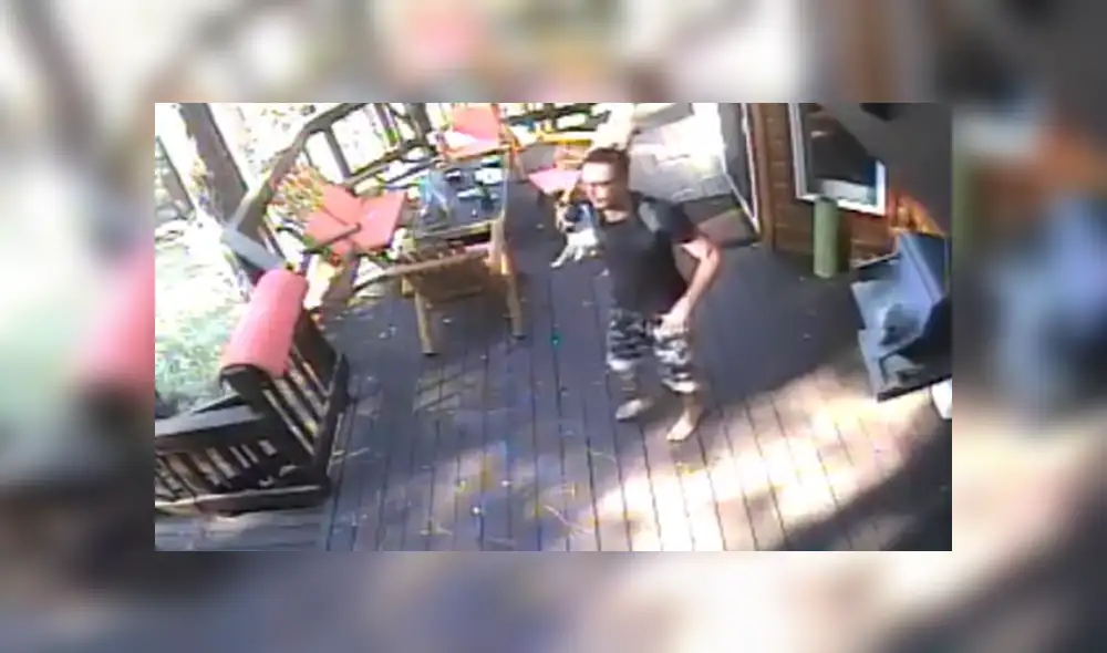 A través de YouTube se hizo viral el tenso momento en que un hambriento coyote ataca a un pequeño perro.