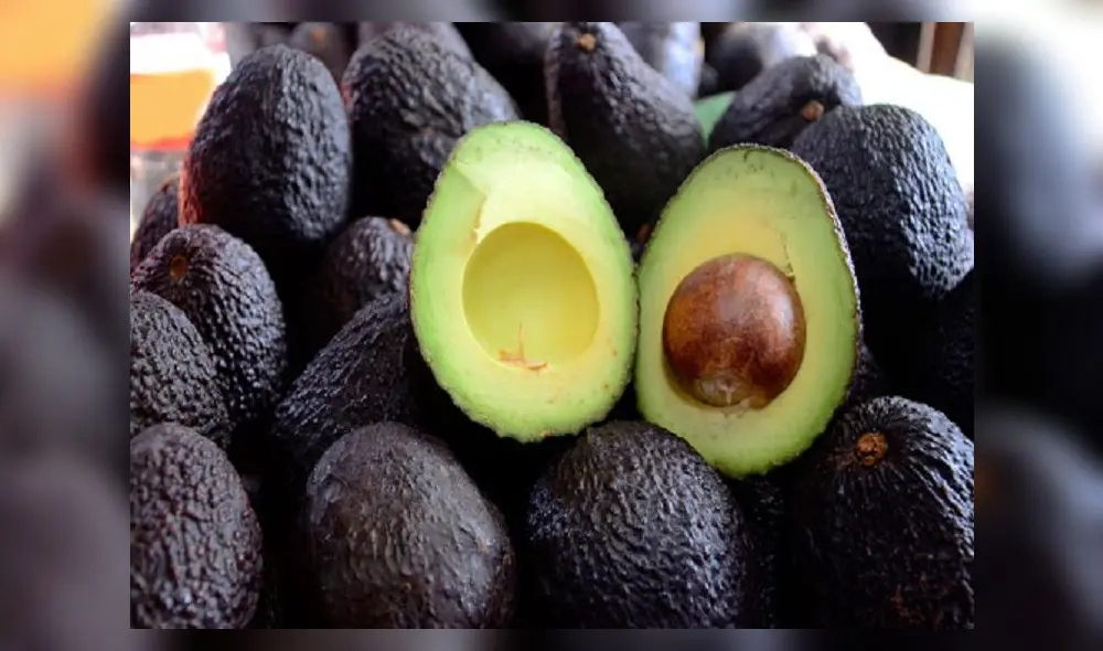Descubre cuáles son los beneficios que se tiene al consumir la palta. Foto: Google.