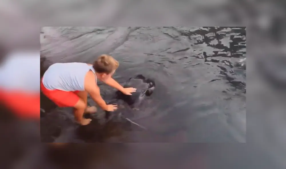 Desliza para ver detalles del video viral publicado en YouTube. Foto: Captura. Desliza para ver detalles del video viral publicado en YouTube. Foto: Captura.