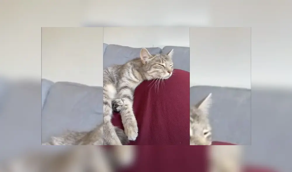 Desliza hacia la izquierda para ver más del video viral. Fotocaptura: Youtube Desliza hacia la izquierda para ver más del video viral. Fotocaptura: Youtube