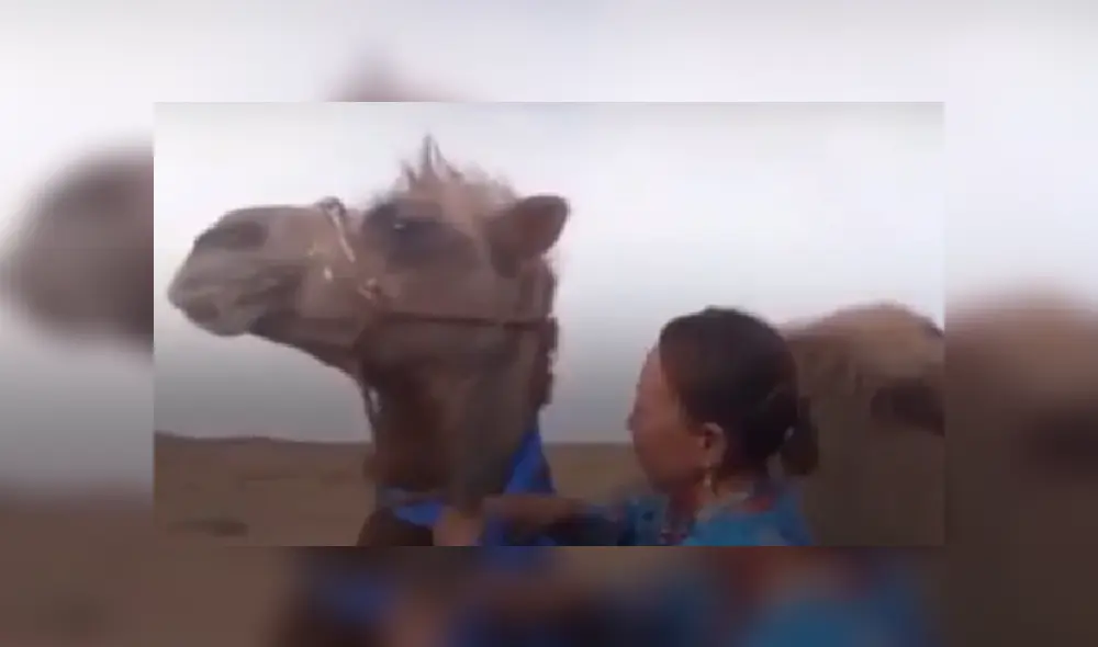 Desliza las imágenes para ver más sobre esta conmovedora historia de reencuentro que es viral en Facebook. (Foto: captura) Desliza las imágenes para ver más sobre esta conmovedora historia de reencuentro que es viral en Facebook. (Foto: captura)