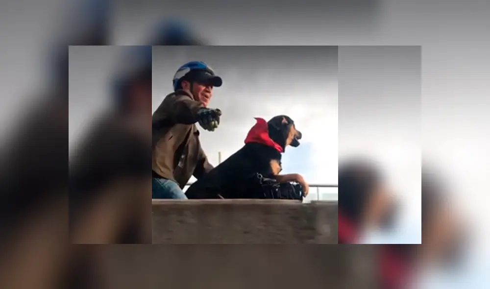 Desliza a la izquierda para ver más sobre este nuevo viral de Facebook. Foto: Captura.