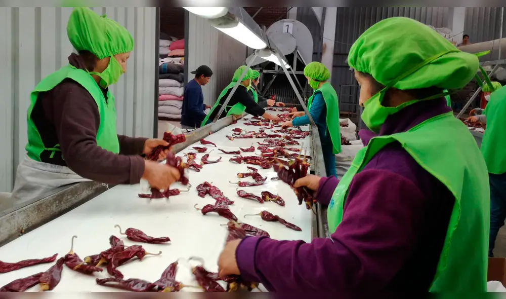 En casi 20 años de vigencia de la Ley Agraria, los salarios no superaron la RMV