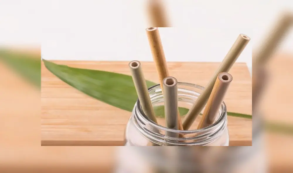 Sorbetes biodegradables: la alternativa ecológica que ayuda a preservar el medio ambiente [FOTOS]