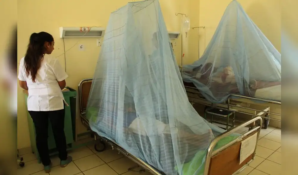 Minsa reporta al menos 8.000 casos probables de dengue en todo el país