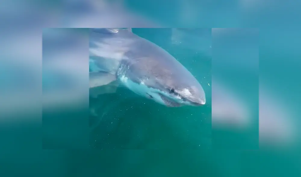 Si quieres ver lo que ocurrió en el video viral de Facebook, desliza cada imagen hacia la izquierda. Si quieres ver lo que ocurrió en el video viral de Facebook, desliza cada imagen hacia la izquierda.