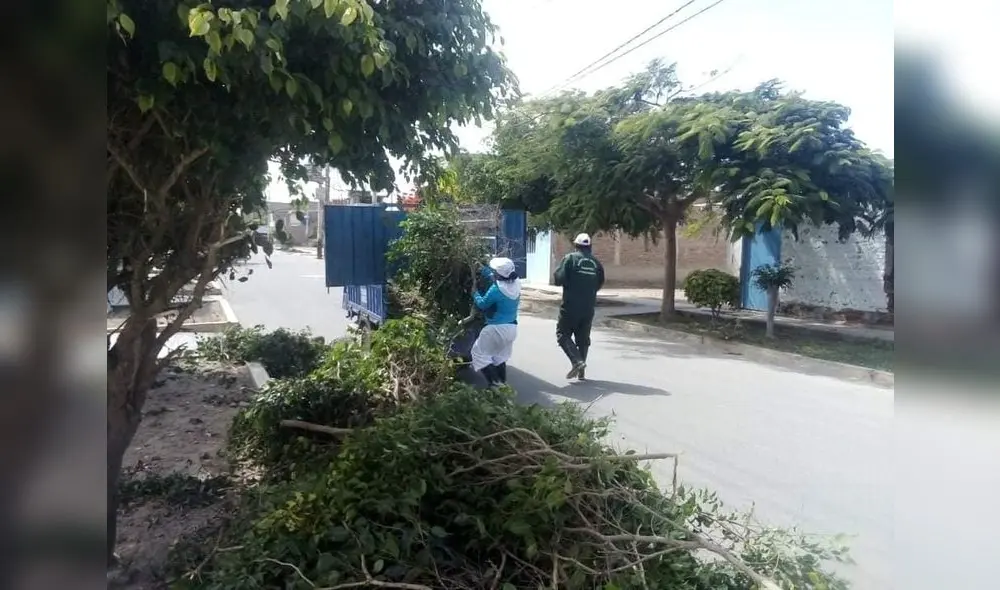 Mantenimiento debe ir acompañado de apoyo de los vecinos.