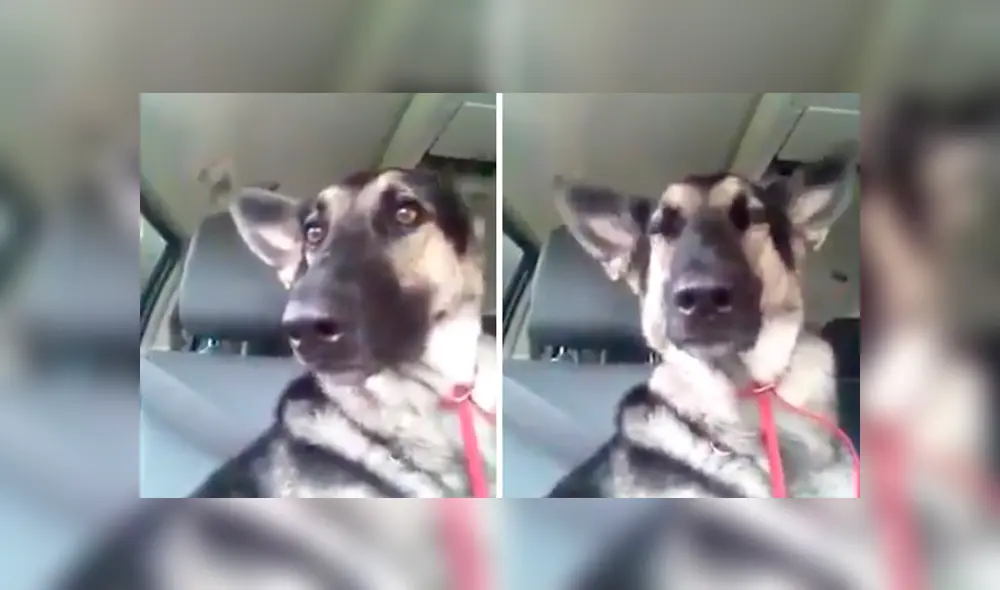 Desliza para ver los detalles del video viral de Facebook. Foto: Captura.