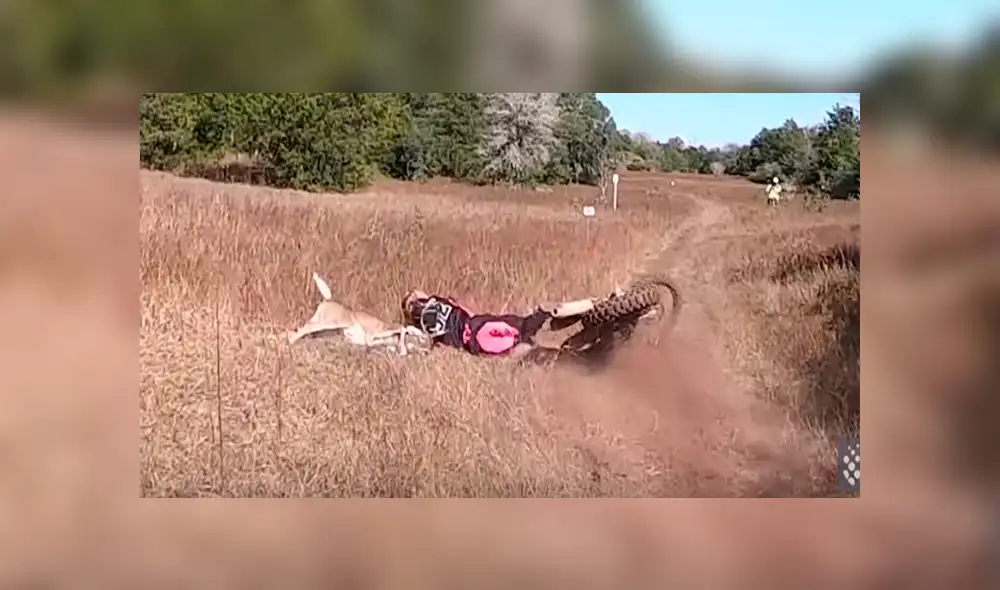 Desliza hacia la izquierda para ver el choque del ciclista con un ciervo. Video es viral en YouTube. Desliza hacia la izquierda para ver el choque del ciclista con un ciervo. Video es viral en YouTube.
