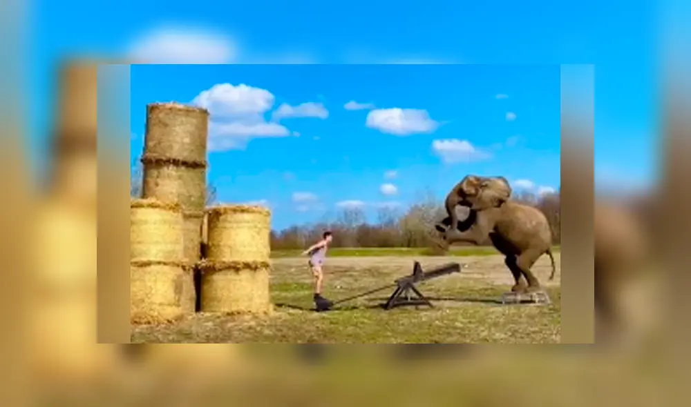 Desliza para ver todas las imágenes de TikTok. Foto: captura