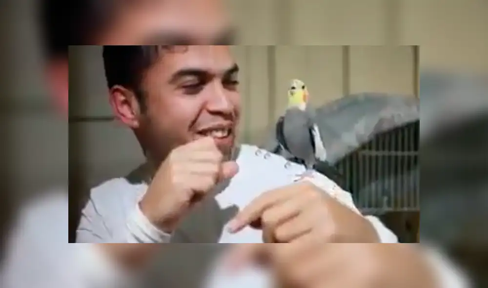 Video es viral en Facebook. El joven practicaba ‘beatbox’ en compañía de su loro, sin imaginar que el ave aprendería los sonidos y comenzaría a imitarlo. Foto: Captura. Video es viral en Facebook. El joven practicaba ‘beatbox’ en compañía de su loro, sin imaginar que el ave aprendería los sonidos y comenzaría a imitarlo. Foto: Captura.