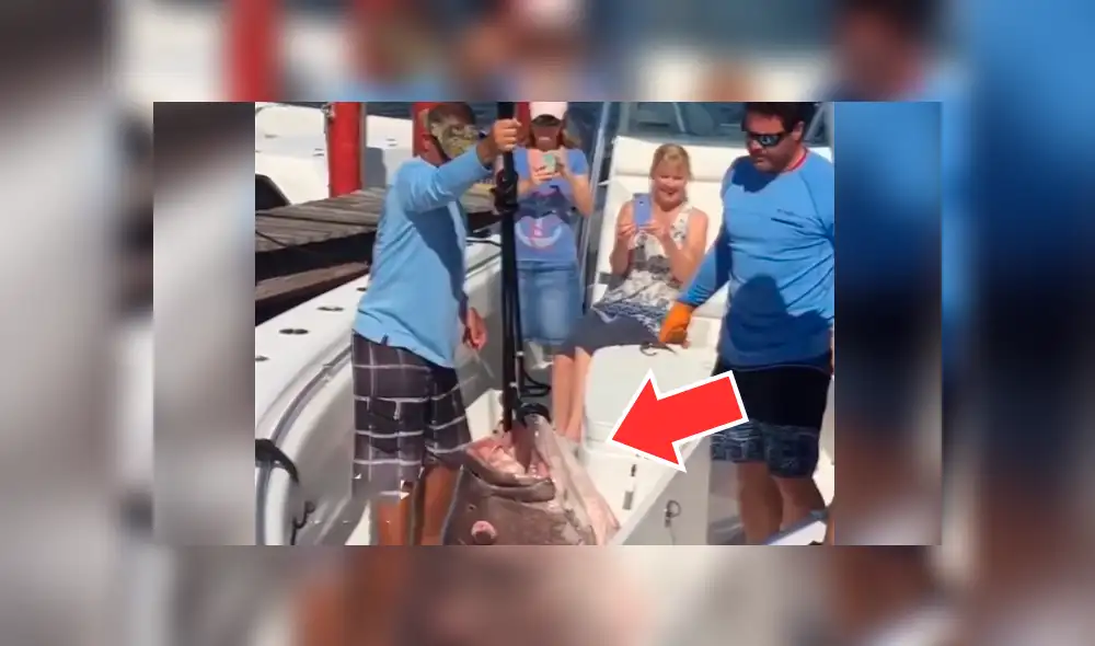 YouTube viral: pescadores quedan aterrados al ver misteriosa criatura que salió del océano [VIDEO]