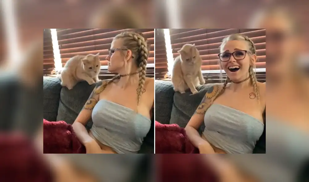 Desliza la imagen de YouTube para verlas todas. Foto: captura Desliza la imagen de YouTube para verlas todas. Foto: captura