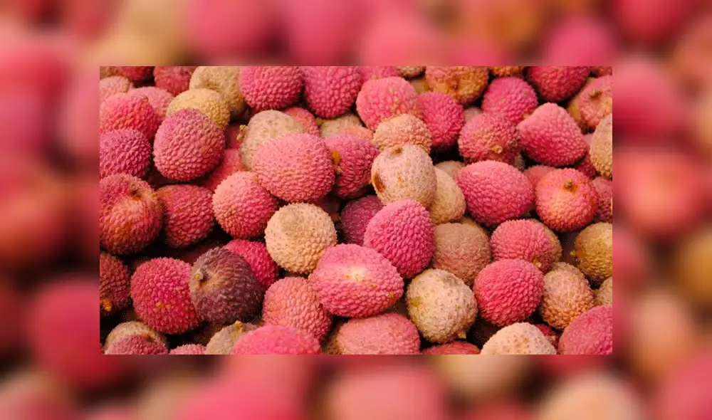 Casi 100 niños mueren por virus que ataca al cerebro en India 