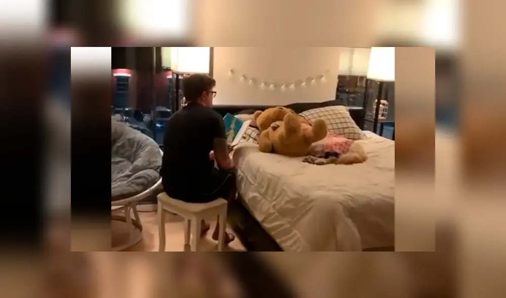 Desliza las imágenes para apreciar el emotivo momento entre un joven junto a la mascota de su pareja. Foto: Dog Lovers.