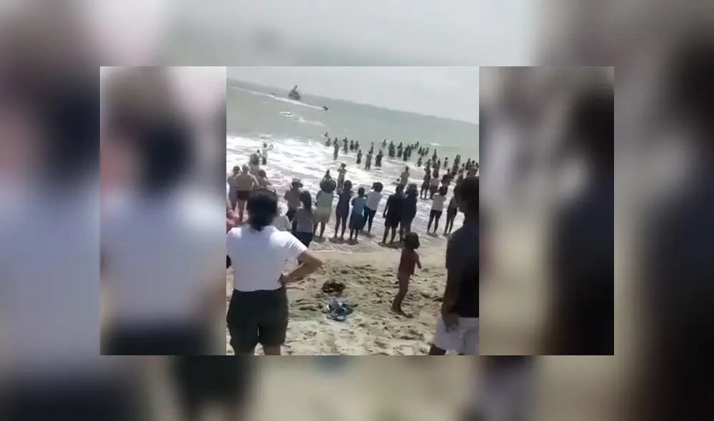 Ballena jorobada regresa al mar gracias a denodados esfuerzos de pescadores. (Foto: Captura de video) Ballena jorobada regresa al mar gracias a denodados esfuerzos de pescadores. (Foto: Captura de video)