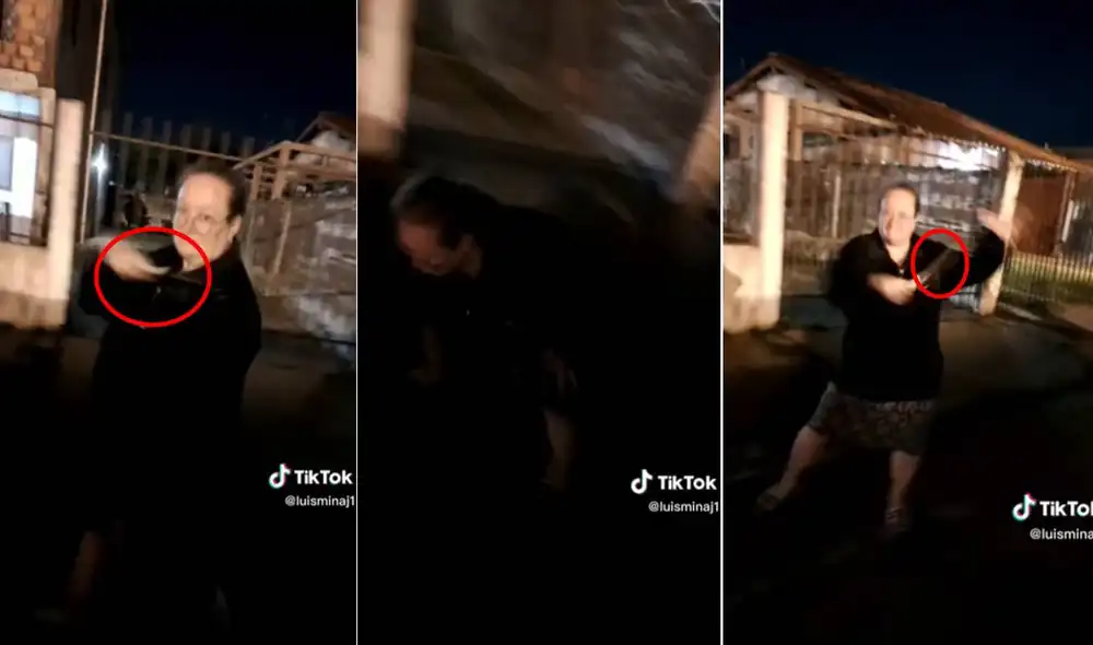 El video ha conseguido más de 400.00 visualizaciones en TikTok. Foto: composición LR/captura de TikTok/@luisminaj
