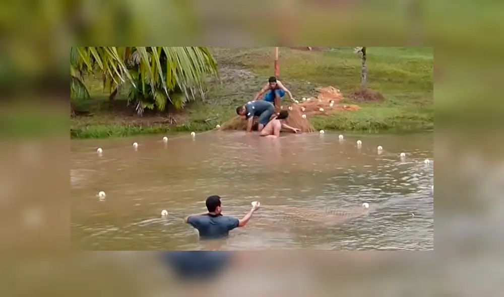 YouTube viral: Entran a pescar y quedan en shock al ver extrañas criaturas en su red [VIDEO]