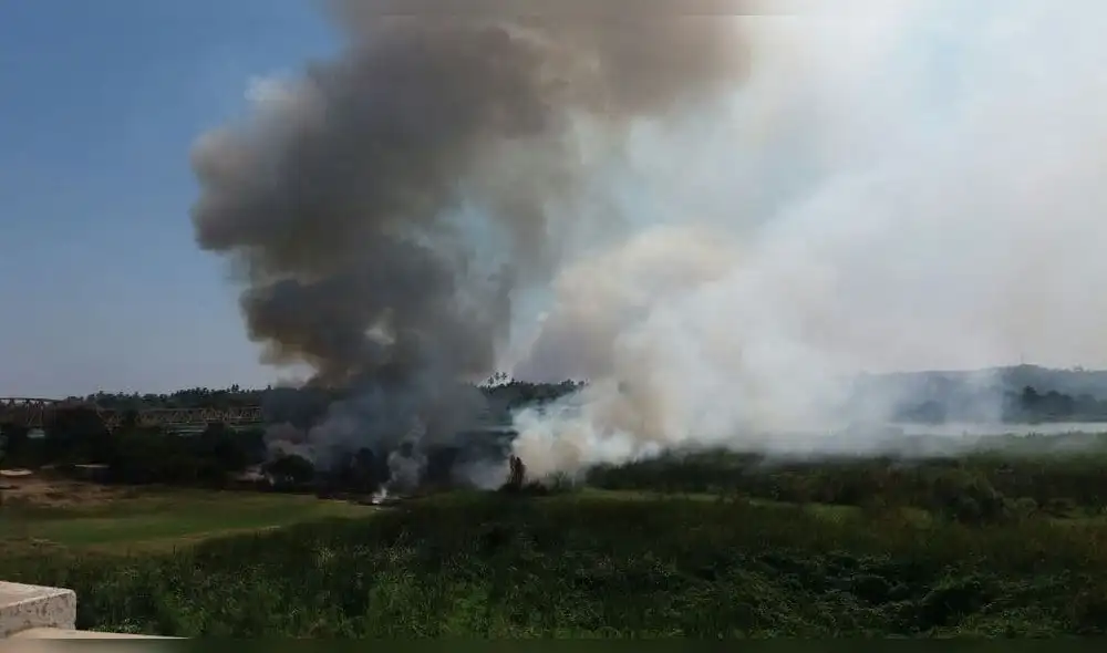 Piura: registran incendio forestal en la ribera del río Chira