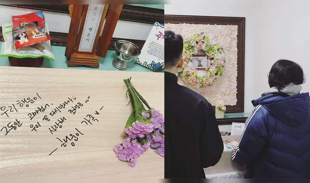 2AM: Jo Kwon enterró a su mascota y sus amigos le mostraron su apoyo en Instagram