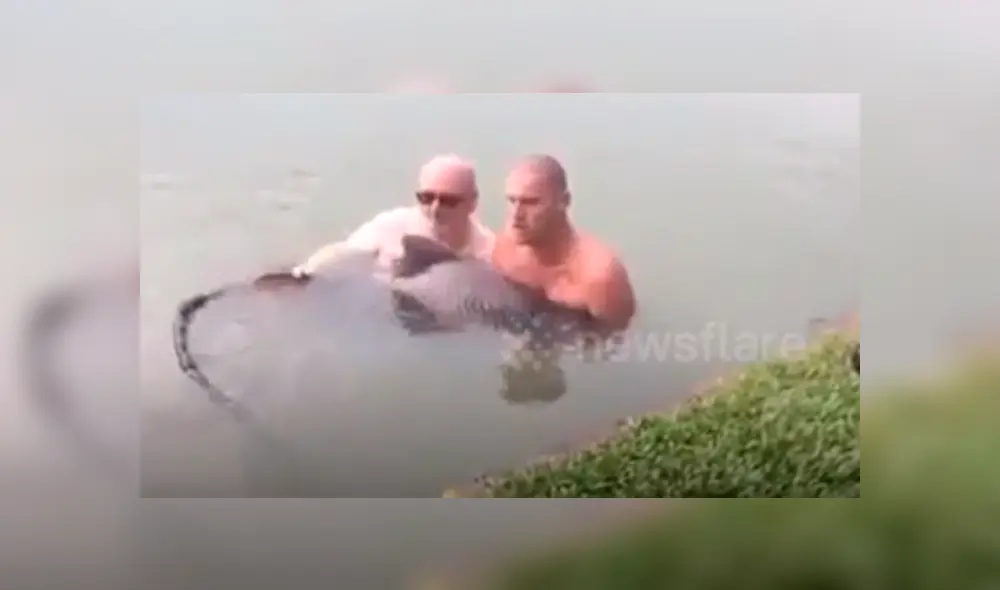 Desliza hacia la izquierda para ver el momento en que los turistas son atacados por el gigantesco pez, escena que es viral en Facebook. Desliza hacia la izquierda para ver el momento en que los turistas son atacados por el gigantesco pez, escena que es viral en Facebook.