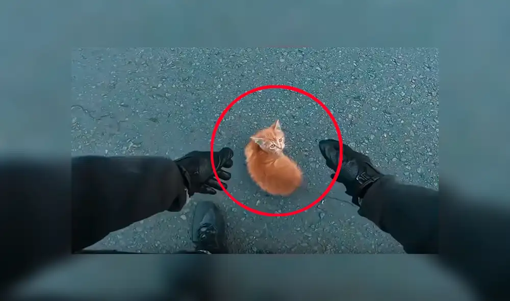 Conductores se ganaron la admiración de todos tras protagonizar solidario gesto que ha dado la vuelta al mundo Conductores se ganaron la admiración de todos tras protagonizar solidario gesto que ha dado la vuelta al mundo