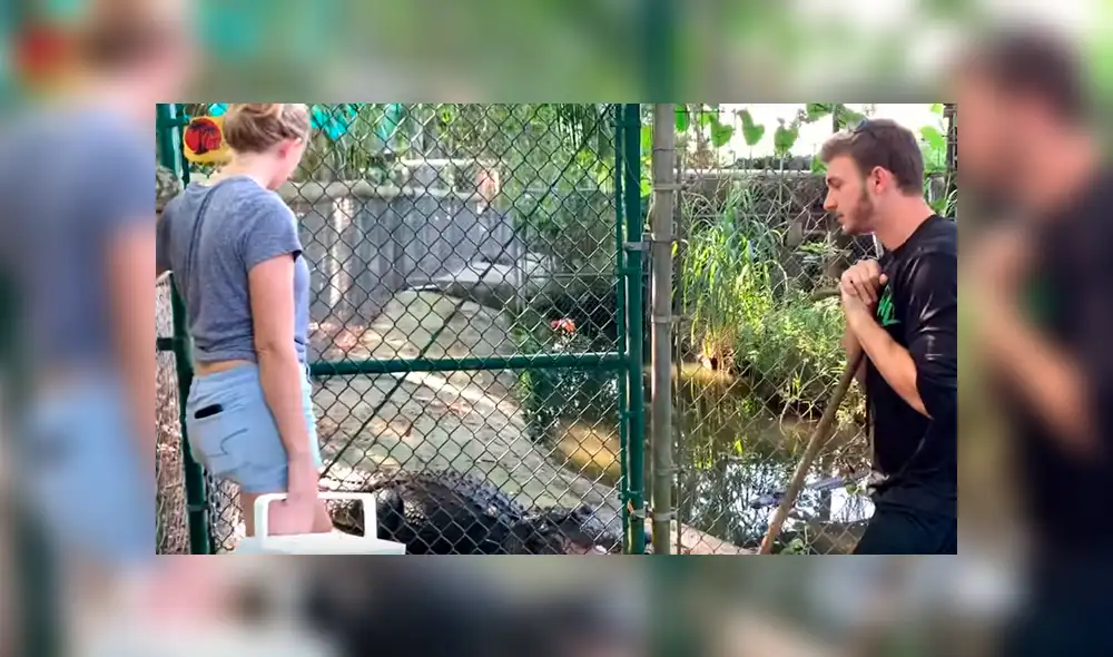 Desliza hacia la izquierda para ver lo que pasó con los jóvenes que ingresaron a un recinto de cocodrilos y se volvió viral en YouTube.