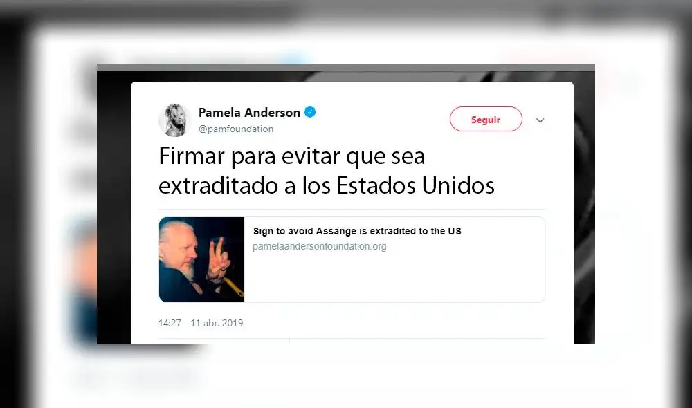 Pamela Anderson defiende a Julián Assange, el fundador de Wikileaks [FOTOS]