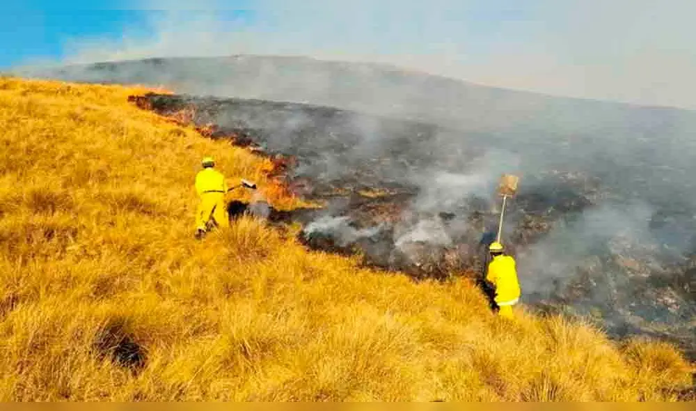 Preocupa aumento de incendios forestales en Cusco: Foto: Sernanp.