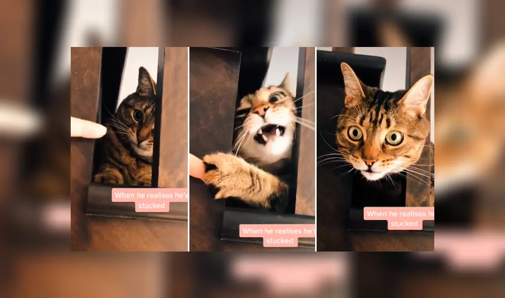 Desliza para ver todas las imágenes de Facebook. Foto: captura