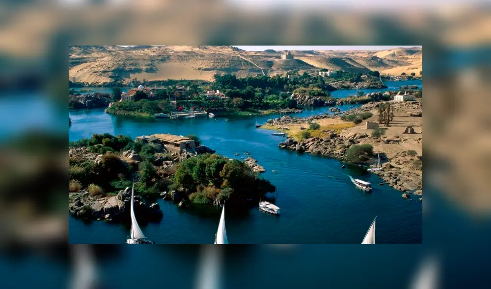 Nuevos estudios han puesto en descubierto las curiosidades que hasta el momento eran desconocidas.