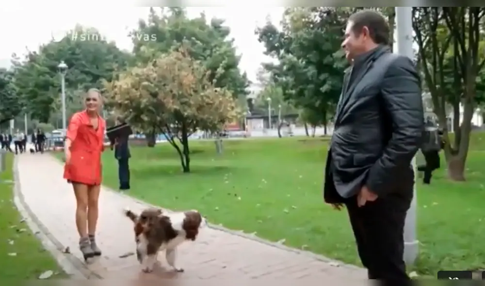 YouTube Viral: Perro defeca durante entrevista a político en Colombia [VIDEO]
