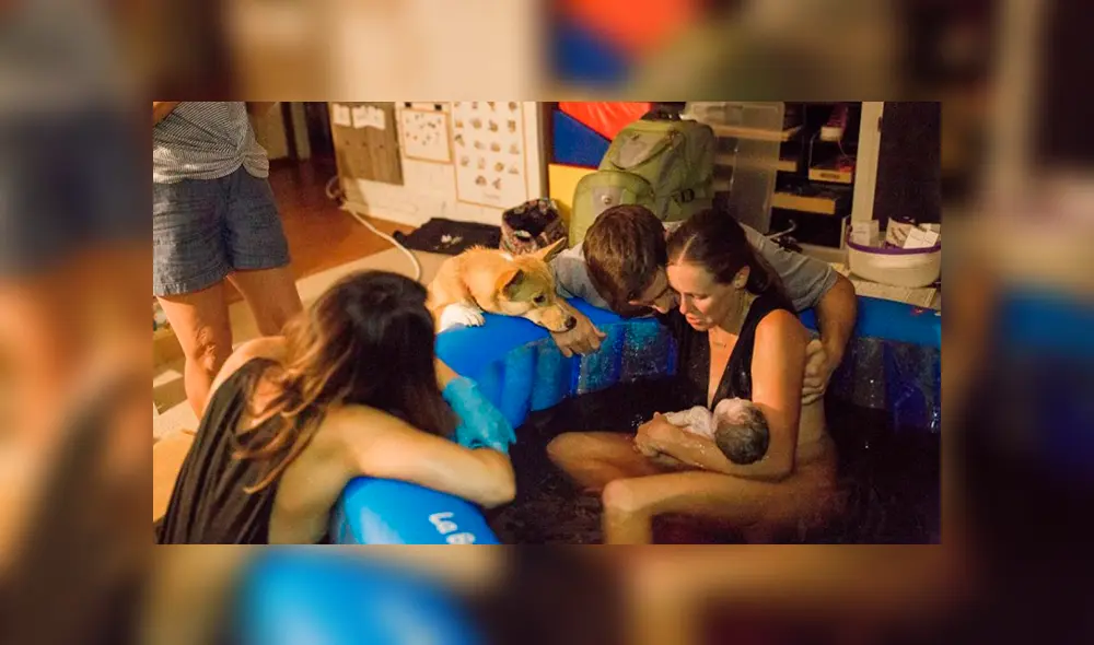 Desliza las imágenes para apreciar el conmovedor momento que registró una fotógrafa de un perro con su dueña. Desliza las imágenes para apreciar el conmovedor momento que registró una fotógrafa de un perro con su dueña.