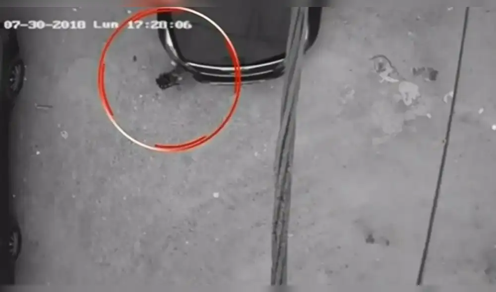 Tumbes: Camioneta arrolla a niña de 2 años y ella solo sufre rasguños