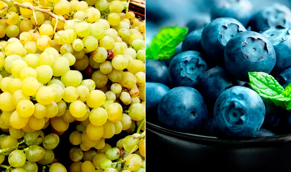 Los arándanos y las uvas son las frutas más exportadas, sobre todo a Estados Unidos. Foto: composición LR Los arándanos y las uvas son las frutas más exportadas, sobre todo a Estados Unidos. Foto: composición LR