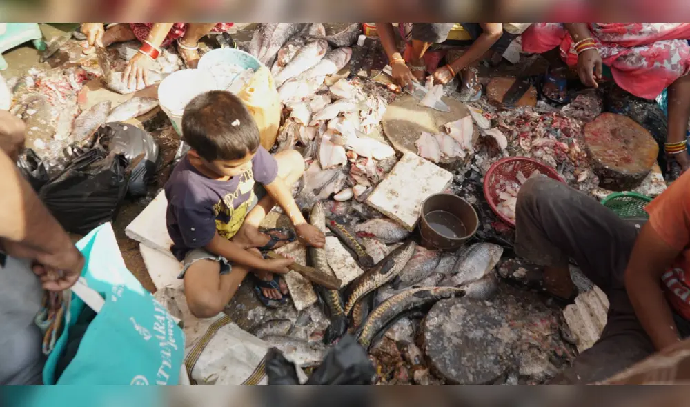 China: representantes de la ONU esperan que se cierren los mercados de animales salvajes