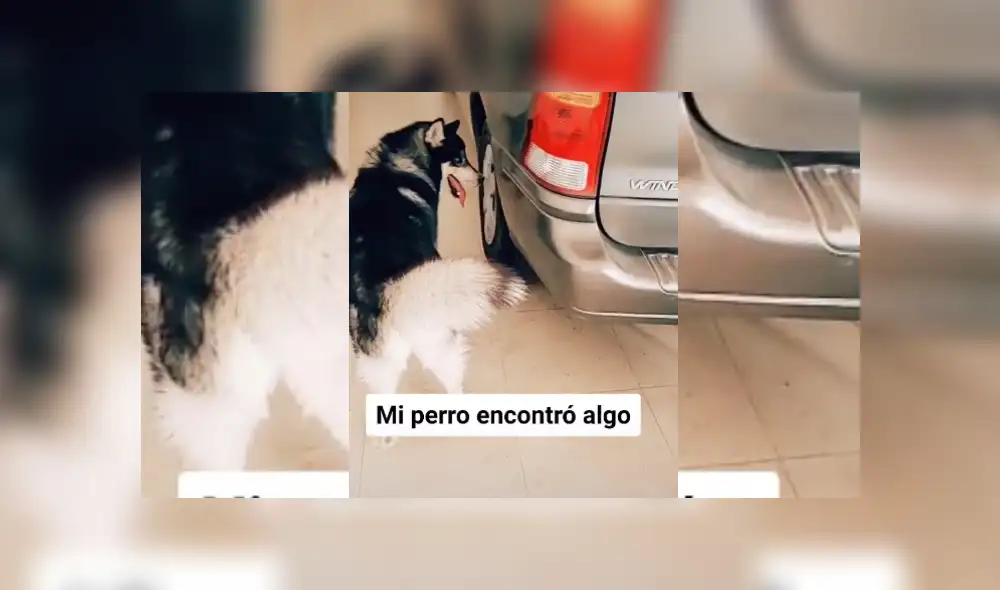 Desliza hacia la izquierda para ver más del video viral Desliza hacia la izquierda para ver más del video viral