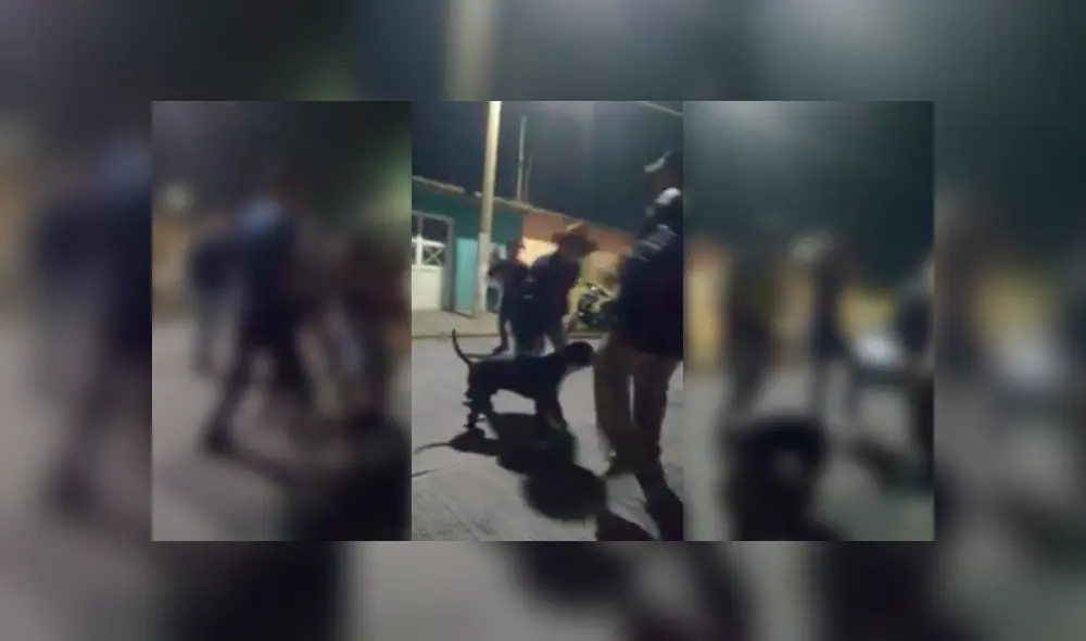 Desliza para ver el desenlace de este video viral publicado en Facebook. Foto: Captura. Desliza para ver el desenlace de este video viral publicado en Facebook. Foto: Captura.