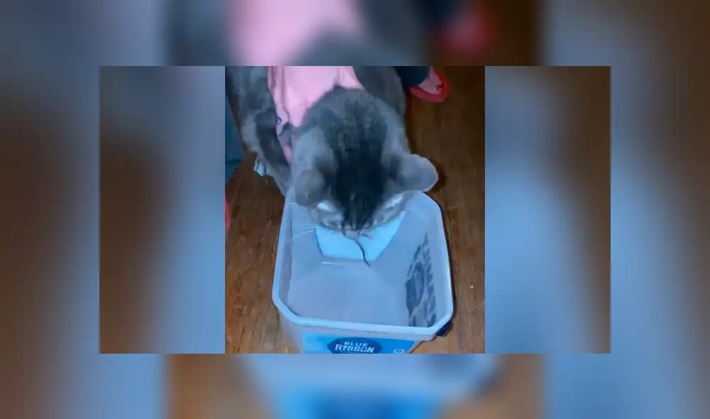 Desliza para ver todas las imágenes de Facebook. Foto: captura