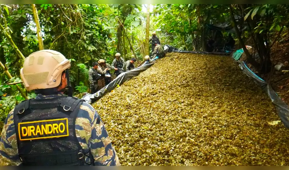 Seis narcos controlan la mitad de toda la droga que sale del Vraem