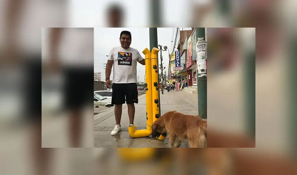 Carabayllo: colocan dispensadores de comida para perros que viven en la calle [FOTOS]