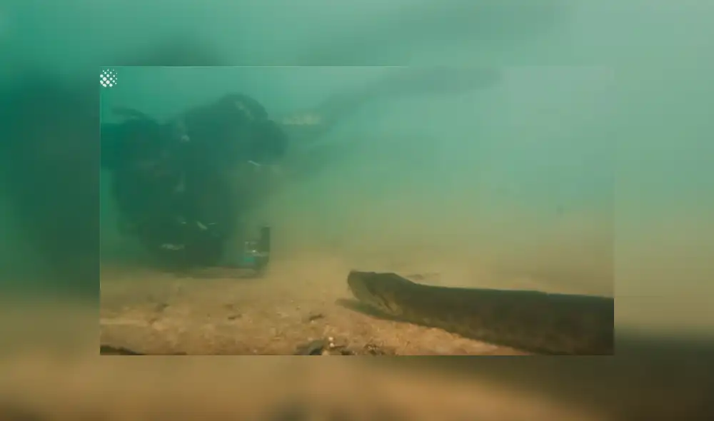 Un video viral de YouTube resgistró la arriesgada exploración de un par de hombres al ingresar a un río en Brasil, sin imaginar que se toparían con mostruosa anaconda. Un video viral de YouTube resgistró la arriesgada exploración de un par de hombres al ingresar a un río en Brasil, sin imaginar que se toparían con mostruosa anaconda.