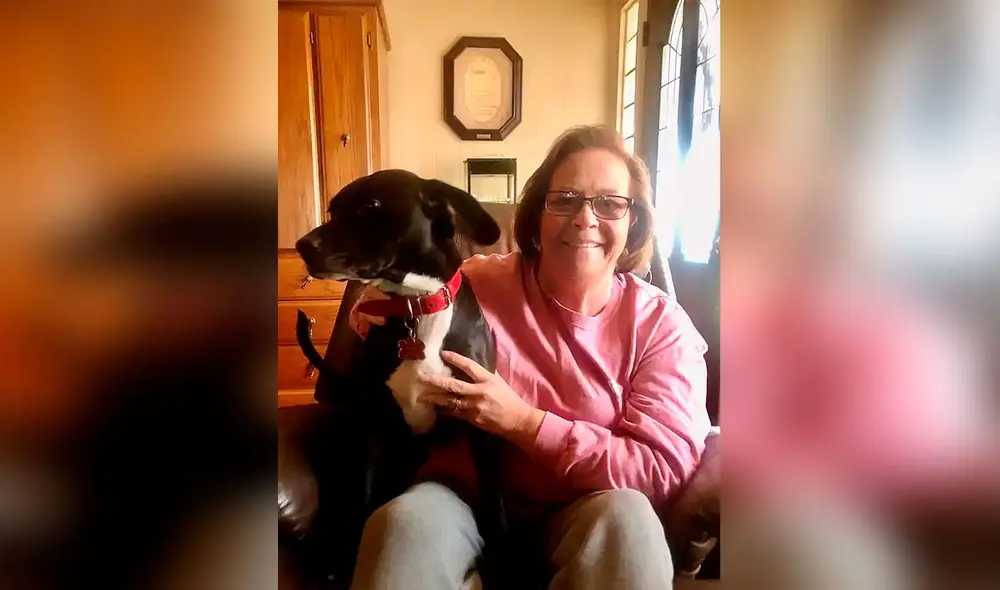 Desliza las imágenes para conocer la conmovedora historia de una perrita se reencontró con su dueña tras desaparecer por días. Foto: Facebook