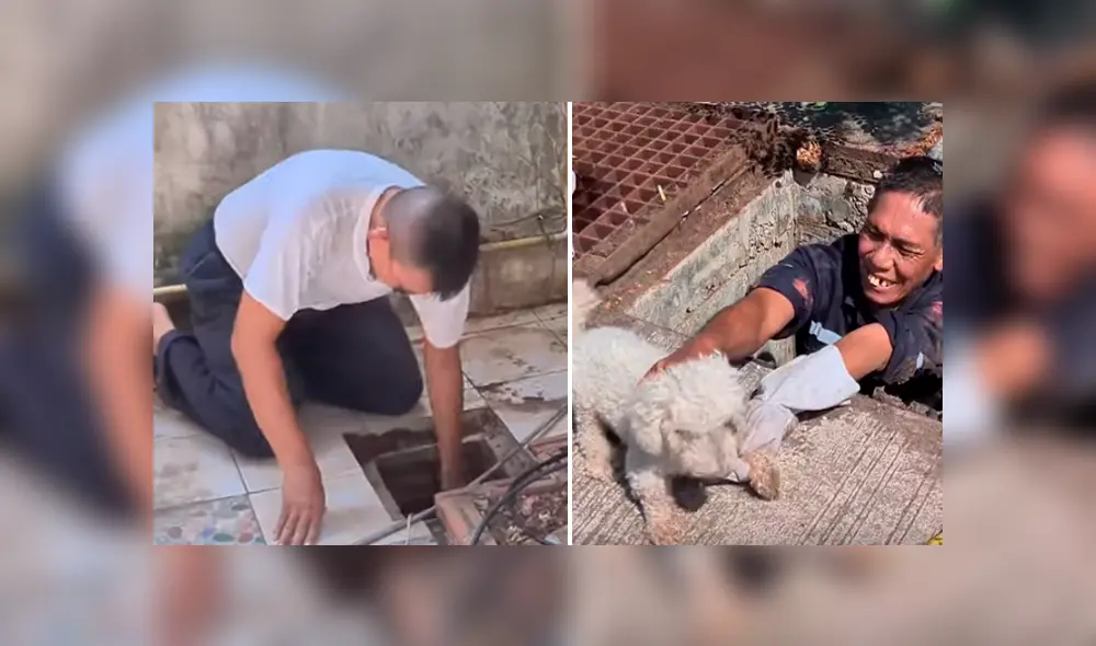 Desliza hacia la izquierda para ver el conmovedor rescate de un perro. Imágenes de YouTube.